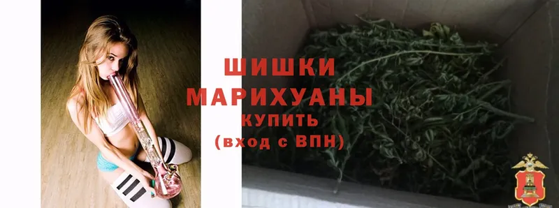 Шишки марихуана сатива  Нахабино 